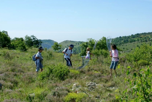 Fête du parc PACA : Des enfants dans la nature