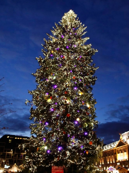 Grand sapin de Noël