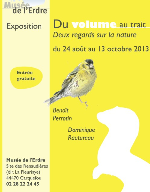 Expo Du volume au trait