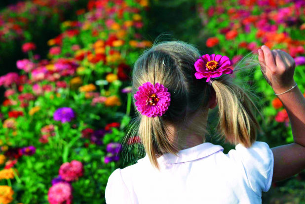 Cueillette de la Grange - Chapeau de Paille : fillette et fleurs