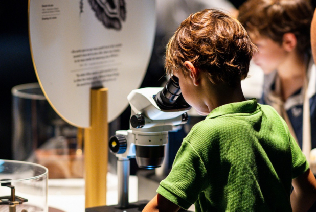Cap Sciences : expo Mini-monstres, enfant microscope
