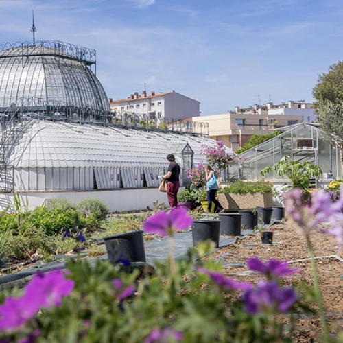 Portes ouvertes des serres municipales