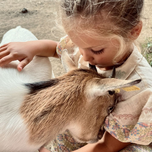 La Mini Ferme de Justin