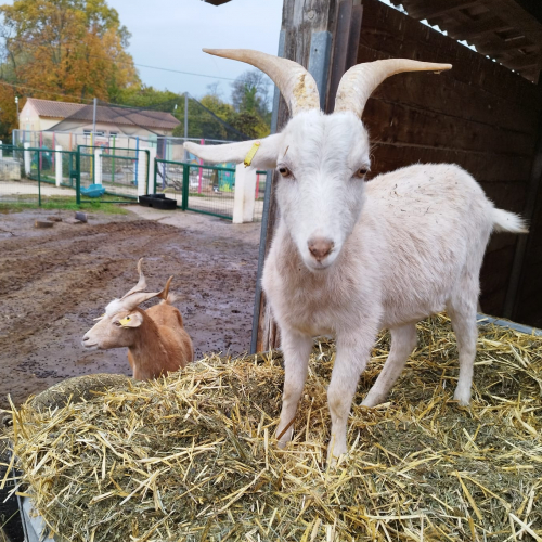 Ferme pédagogique Pennes-Mirabeau