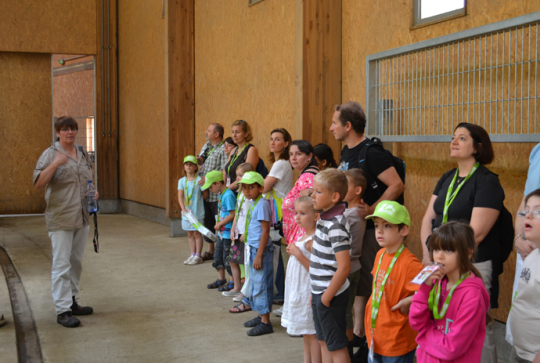 Zoo de Lyon la giraferie