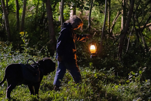 Mon Chat et Moi : dans la nuit