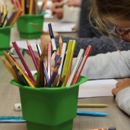 Musée d'histoire naturelle de Lille : atelier dessin enfant