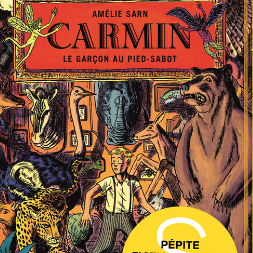 Carmin - roman