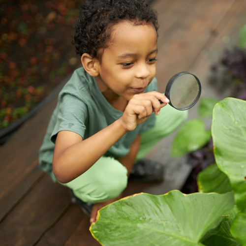 Fête de la nature 2024 dans le Puy-de-Dôme, Clermont