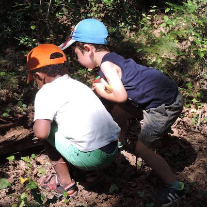 Écosite du Bourgailh : balade enfant en forêt près de Bordeaux
