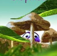 Le voyage de Clopillon