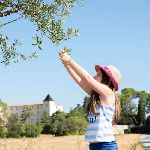Domaine Départemental de Restinclières