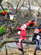 Noël 2018 au Zoo de Bordeaux Pessac