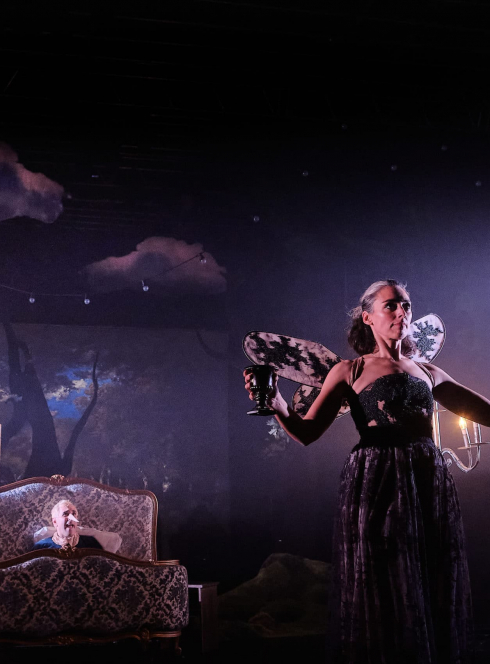 Pinocchio - Cie des Dramaticules