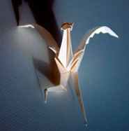 Origami albatros - Un brin zen