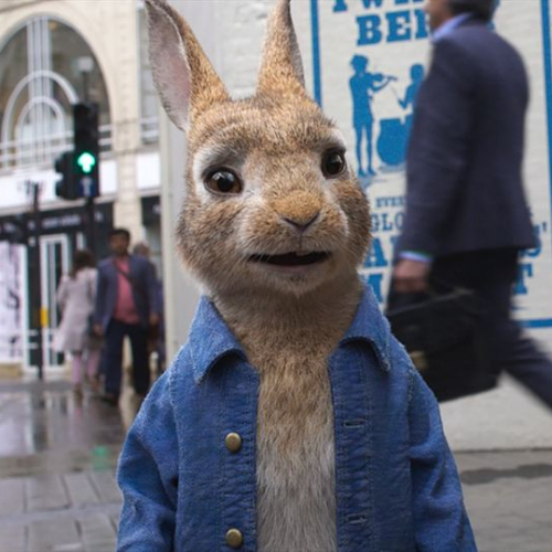 Pierre Lapin 2, Pierre Lapin à côté d'une étale