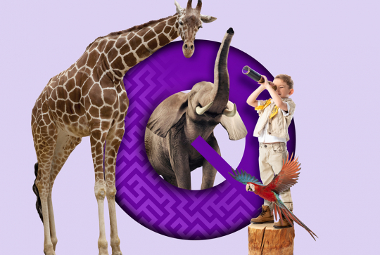 Qwartz Safari : vacances de printemps 2023