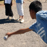 Fêtes des Eucalyptus