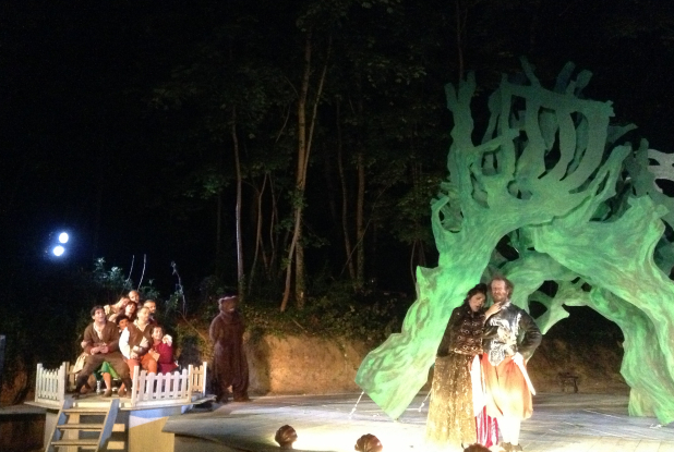 Biennale du Fort de Bron - Don Quijote (15)