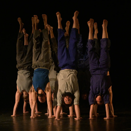 Le Complexe de l’Autruche - Cie du Courcirkoui