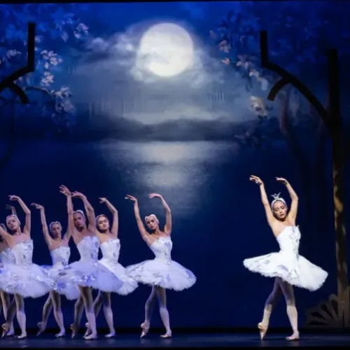 Mon Premier Lac des Cygnes : en 2024 au Mogador