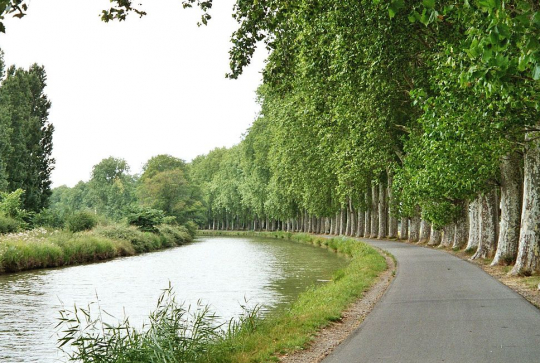 Voie verte Canal du Midi : courbe