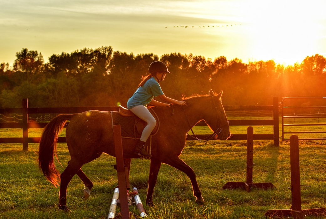 Equita Lyon 2019 Salon Du Cheval A Eurexpo A Lyon Citizenkid