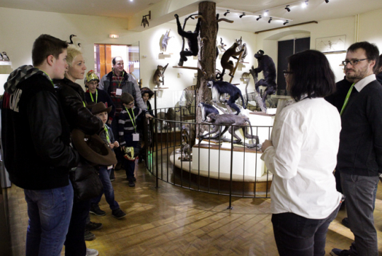 parcours jeu citizenkid La Nuit au musée à Colmar