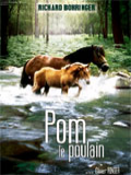 Pom le poulain