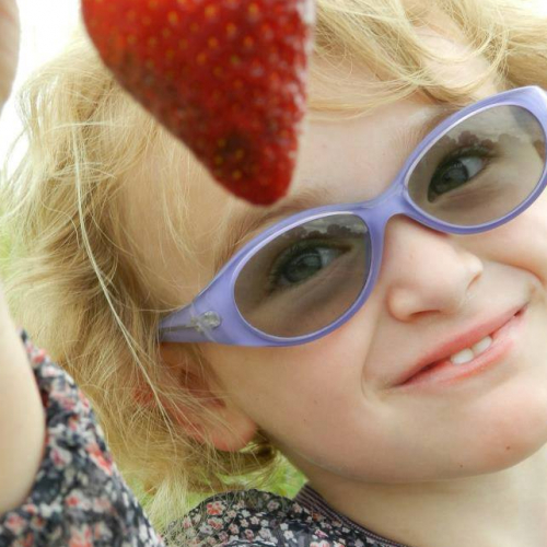 Vergers du Bois Macé - Cueillette avec les enfants