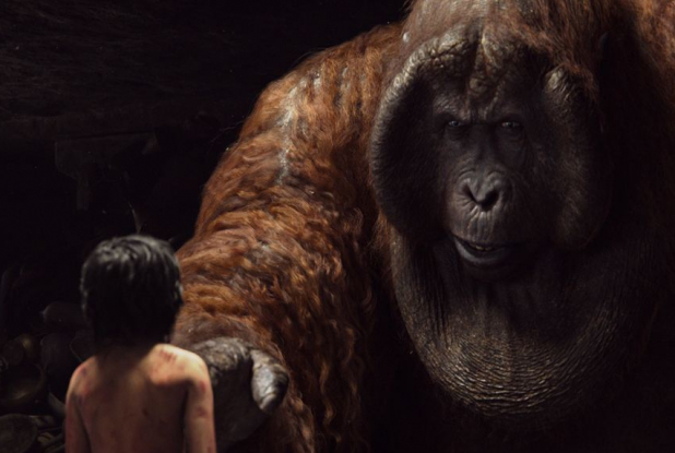 Le Livre de la Jungle