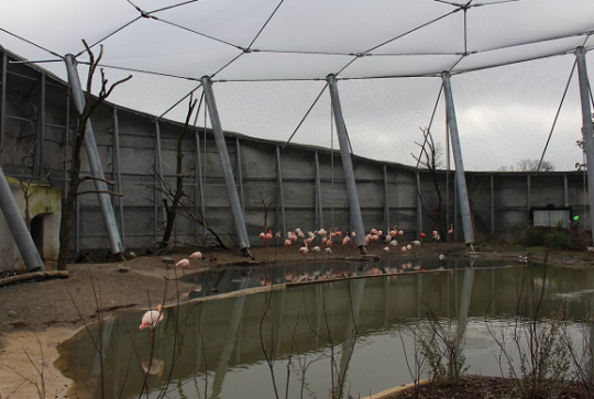 Parc zoologique de Paris @CitizenKid