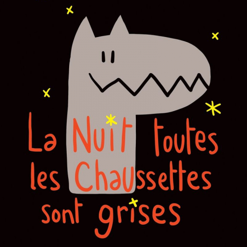 La nuit toutes les chaussettes sont gris