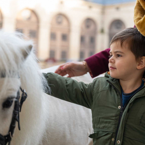 Château de Chantilly : enfant caresse un cheval