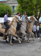 Fête de l'été de Lunel-Viel