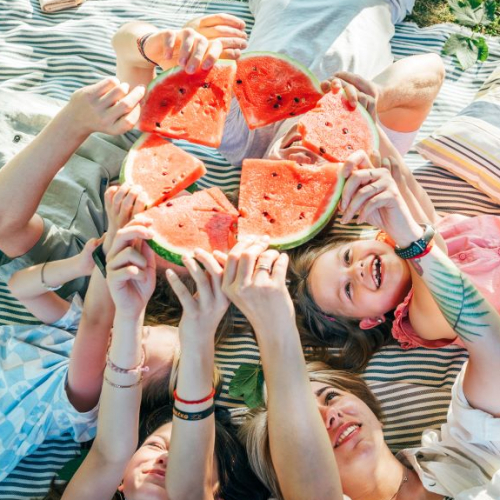 Top des parcs de pique-nique à Nantes et ses environs