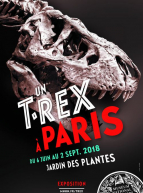 Expo Un T-Rex à Paris