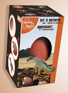 Concours oeufs dinosaures