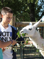 Les Petits Fermiers à Lansargues