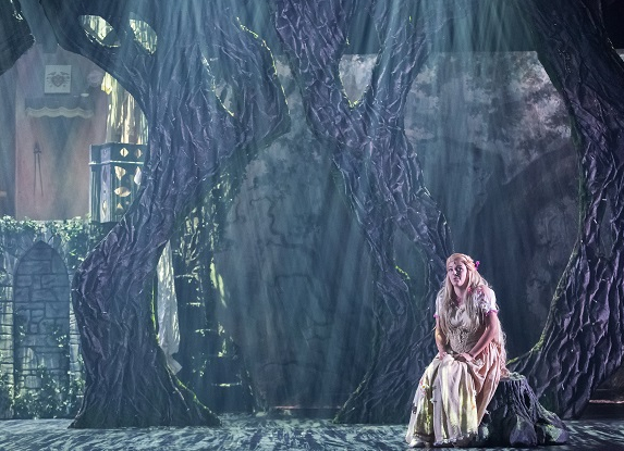 Raiponce et le prince aventurier - Guillaume Bauchède