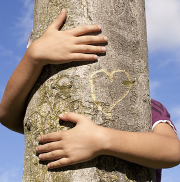 J'ai un arbre dans mon coeur