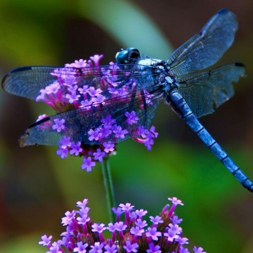 Balade au fil de l'eau