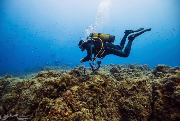 BeFree2Dive : Plongée