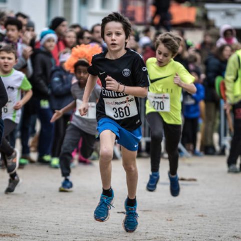 Le Roc des diablotins