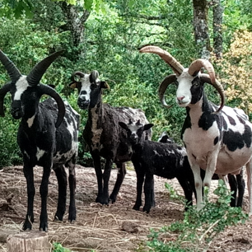 Parc le Theil