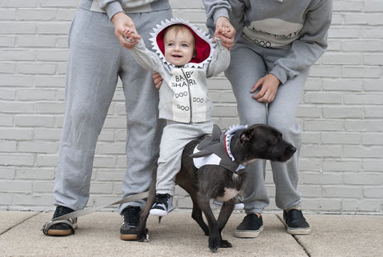 Déguisement Carnaval Baby Shark