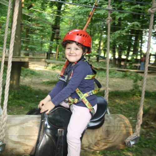 Chicoune Accroforest