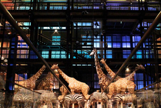 Muséum national d'Histoire naturelle  - Grande Galerie de l'Évolution