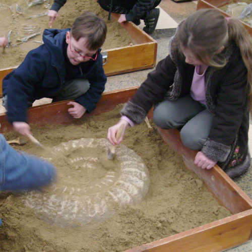 43e Salon Minéraux Fossiles Météorites Cristal et Bien-être