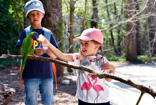 Loris et enfants au Parc des Oiseaux